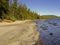 Picturesque lake and forest