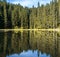Picturesque lake panorama view with puffy clouds and coniferous forest reflections