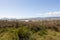 Picturesque landscape with bush, sea and mountains on background in a sunny day, Duder Regional Park, Auckland city, New Zealand