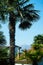 Picturesque landscape in  european village, palm tree with large leaves