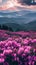 Picturesque Landscape, Majestic Mountains Stand Tall Amidst a Vast Pink Field of Blooming Flowers