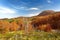 A picturesque landscape of a mountain valley in Lovchen National Park, Montenegro on autumn day