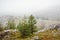 A picturesque landscape of a mountain valley in Lovchen National Park, Montenegro on a foggy day. Background. Wallpaper