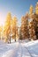 Picturesque landscape with orange larches covered by first snow