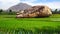 Picturesque landscape with rice plantation. Hampi,
