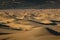 Picturesque landscape of rolling sand dunes.