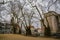 Picturesque landscape with strange trees in Porto , Portugal