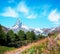 Picturesque landscape with two dandelion on background Matterhorn in the Swiss Alps, near Zermatt, Switzerland. Amazing places.