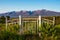 A Picturesque Landscape With Weathered White Fence, Mountains And Overgrown Plant Life