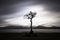 Picturesque Lone Tree at Milarrochy Bay is a bay on Loch Lomond, near the village of Balmaha, Scotland.