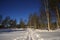 Picturesque long shadow of pine tree of untouched snow. Beautiful winter landscape with clear blue sky over snowy ground with red