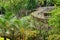 The picturesque Martinique zoo in Le Carbet in West Indies