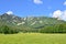 Picturesque meadow with mountain in the background. Summer landscape in Carpathian Mountains 