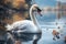 A picturesque moment Beautiful swan adrift on a serene lake