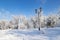 A picturesque Monastery Island winter landscape, park covered with snow, with a beautiful lantern in the Dnipro city