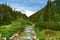 Picturesque mountain landscape of pirin national park in bulgaria