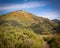 Picturesque mountain in Santa Ynez, California, blanketed in a vibrant patchwork of wildflowers