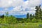 Picturesque mountain summer landscape with flowering alpine meadow at sunny day