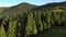 Picturesque mountain valley with alpine meadows in the morning.