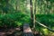 A picturesque old footbridge made of logs across a forest stream. Forest tourism in deep European forests