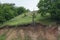 Picturesque overgrown greenery ravine. Summer landscape with hills and trees. Dry tree on a hillside