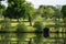 Picturesque pastures with sheep, Scotland, UK