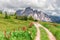 A picturesque path through an alpine meadow in the Italian Dolomites for hiking and cycling.