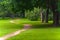 A picturesque path in the park of the middle zone of Russia.