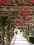 Picturesque pathway covered with red bougainvillea at Hotel Luna, on the island of Capri, Southern Italy.