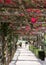 Picturesque pathway covered with red bougainvillea at Hotel Luna, on the island of Capri, Southern Italy.