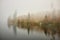 Picturesque photo of the autumn Strbske Pleso lake with colorful trees and reflection on water in High Tatras mountains