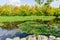 Picturesque pond in the city Park Tivoli