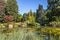 Picturesque pond with lilies and grass