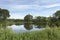 A picturesque pond with overgrown green banks and clouds in the blue sky.