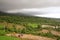 Picturesque rice fields of kangra India