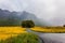 The picturesque road in the fogs