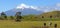 Picturesque rural landscape with Taranaki volcano and grazing cows at pasture