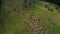 Picturesque rural mountain landscape with flock of sheep.