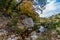 A Picturesque Scene with Beautiful Fall Foliage on a Tranquil Babbling Brook at Lost Maples State Park in Texas.