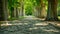 A picturesque scene of a cobblestone road lined with beautiful trees in a serene park setting, A cobbled pathway flanked by