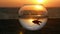 picturesque scene silhouette of a little fish Betta splendens float in a round fish bowl by the ocean at sunset. concept environme