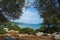 Picturesque scenery of Mediterranean sea with yachts on calm blue water in frame of olive trees and soil of Turkish coast