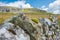 Picturesque scenery of the Yorkshire Dales showing an old rock wall.