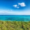 Picturesque seascape with green meadow near Torre Sant Andrea