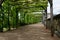 Picturesque and serene pathway surrounded by lush green foliage.