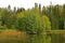 Picturesque shore of forest Joutsenlampi lake. Suomi