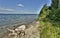 Picturesque snag on the lake shore