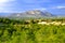 Picturesque south landscape with mountains, trees and city down, at the bottom of the slope in Orihuela, Alicante, Spain