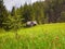 Picturesque spring idyllic scene of the Carpathians, green grass field in front of a wooden cottage surrounded by coniferous