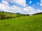 Picturesque spring idyllic scene of the Carpathians, green grass field in front of a wooden cottage surrounded by coniferous